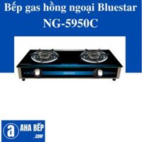 Bếp gas đôi hồng ngoại NG-5950C