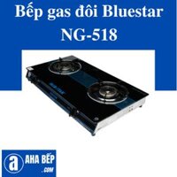 Bếp gas đôi NG-518