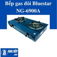 Bếp gas đôi NG-6900A