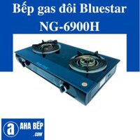 Bếp gas đôi NG-6900H