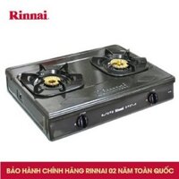 Bếp gas đôi Rinnai RV-365(G)N Mặt men, Chén đồng có đầu hâm