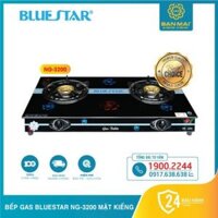 Bếp Gas Dương Bluestar NG-3200