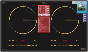 Bếp gas dương Fancy FC.368
