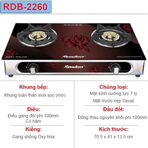 Bếp gas dương Raiden RDB-2260