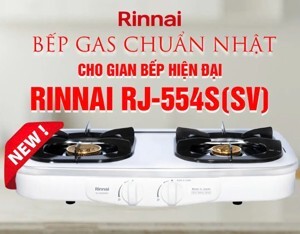 Bếp gas dương Rinnai RTS-2KD
