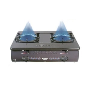 Bếp gas dương Rinnai RV-5600Gi