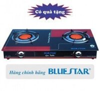 Bếp gas hồng ngoại BlueStar NG-5170C - Đầu đốt Ceramic hồng ngoại cao cấp - Hàng chính hãng