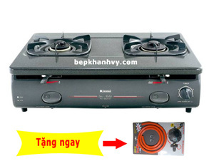 Bếp gas Rinnai RV4600GT (RV-4600GT) - Bếp đôi