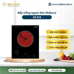 Bếp hồng ngoại âm 1 vùng nấu Malloca DZ-01R