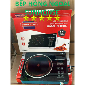 Bếp hồng ngoại dương 1 vùng nấu Sunhouse SHD6017