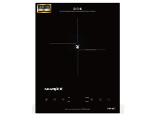 Bếp hồng ngoại dương 1 vùng nấu Panworld PW-867