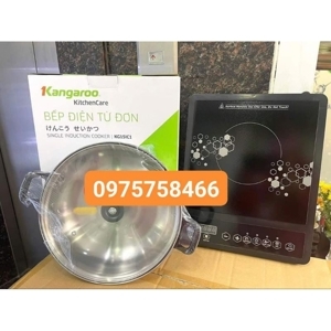Bếp hồng ngoại dương 1 vùng nấu Kangaroo KG15IC1