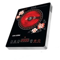 Bếp hồng ngoại kim cương YT-20D-N