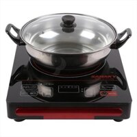 Bếp hồng ngoại Sanaky 1014 - Giá rẻ sập sàn
