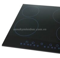 Bếp hồng ngoại Sanaky AT-401HGW