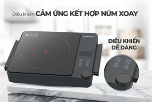 Bếp hồng ngoại Sunhouse SHD6022