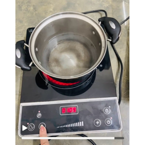 Bếp hồng ngoại dương 1 vùng nấu TCL TG20A1