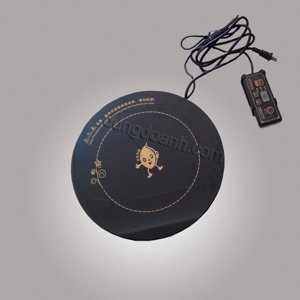 Bếp từ âm 1 vùng nấu YP-X288