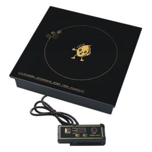 Bếp từ âm 1 vùng nấu YP-X310