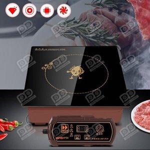 Bếp từ âm 1 vùng nấu YP-X320