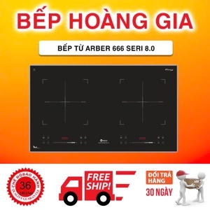 Bếp từ âm 2 vùng nấu Arber AB-666