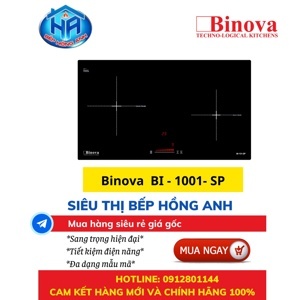 Bếp từ âm 2 vùng nấu Binova BI-101SP (BI-101-SP)