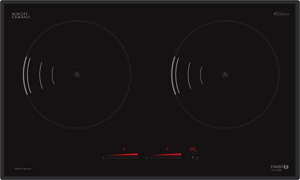 Bếp từ âm 2 vùng nấu Fandi FD-8899