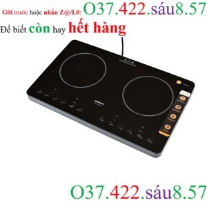 Bếp từ âm 2 vùng nấu Goldsun GDI7400