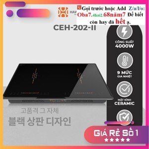 Bếp từ âm 2 vùng nấu Hawonkoo CEH-202-II