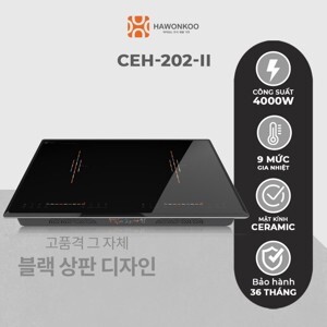 Bếp từ âm 2 vùng nấu Hawonkoo CEH-202-II