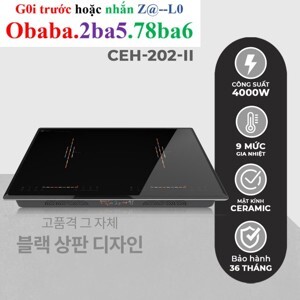 Bếp từ âm 2 vùng nấu Hawonkoo CEH-202-II