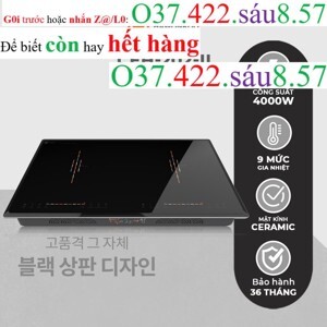 Bếp từ âm 2 vùng nấu Hawonkoo CEH-202-II