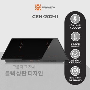 Bếp từ âm 2 vùng nấu Hawonkoo CEH-202-II