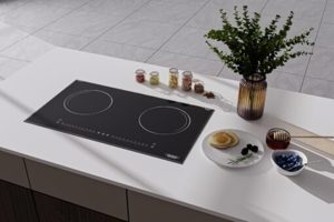 Bếp từ âm 2 vùng nấu Hesman HB-1200