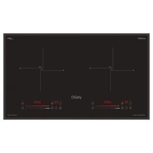 Bếp từ âm 2 vùng nấu OGaly OG D8600