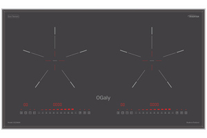 Bếp từ âm 2 vùng nấu OGaly OG D8600
