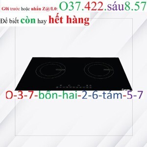 Bếp từ âm 2 vùng nấu Rapido RI4000BN