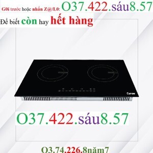 Bếp từ âm 2 vùng nấu Rapido RI4000BN