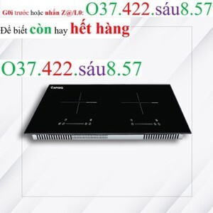 Bếp từ âm 2 vùng nấu Rapido RI4000VD