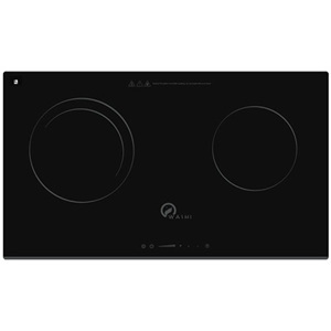 Bếp từ âm 2 vùng nấu Washi WAS-206I