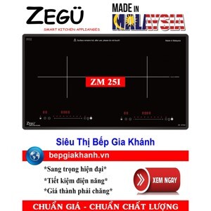 Bếp từ âm 2 vùng nấu Zegu ZM-25I 3700W