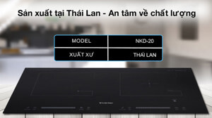 Bếp từ âm 2 vùng nấu Junger NKD 20