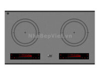 Bếp từ Arber AB2021A