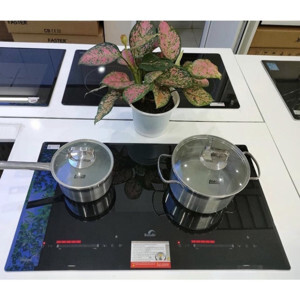 Bếp từ Bauer BE 369SA