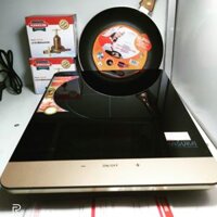 Bếp từ cảm ứng cao cấp Hasuka