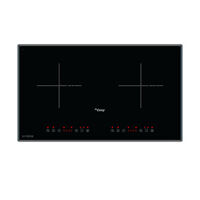 Bếp Từ Canzy CZ 900GB