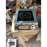 Bếp từ công nghiệp Fest 5000W