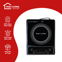 Bếp Từ Đạt Tường Tặng Kèm Nồi Lẩu - DTBT-03