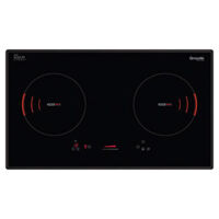 Bếp Từ Dmestik ES 721 DKI