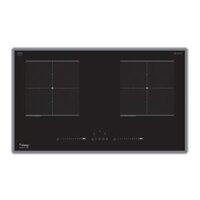 Bếp từ đôi Canzy CZ-99G